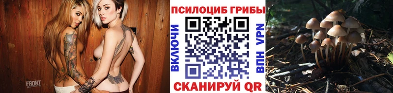 Псилоцибиновые грибы Psilocybe Невинномысск