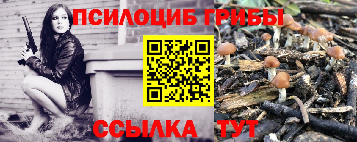 Невинномысск  Псилоцибиновые грибы Psilocybine cubensis  Вход с VPN 