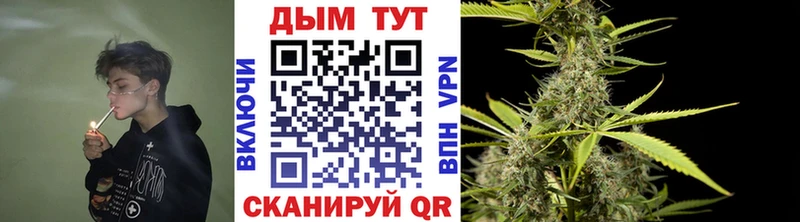 Бошки Шишки OG Kush  даркнет сайт  Невинномысск 